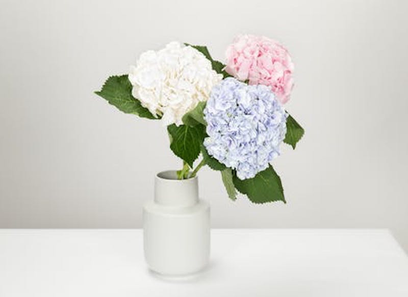 flowers-vase-decor-interior-870512-500x333